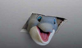 Fappy The Anti-Masturbation Dolphin Arrested